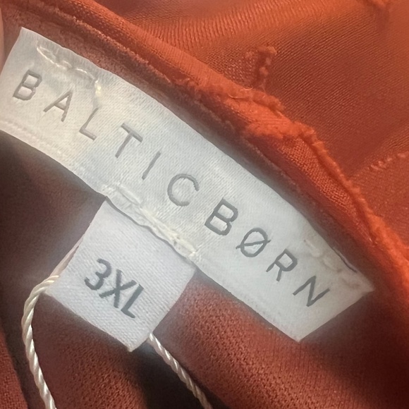 Baltic‎ Born Chiffon Textured Long Sleeve Floral Women's Maxi Dress In Rust, NWT - Picture 10 of 11